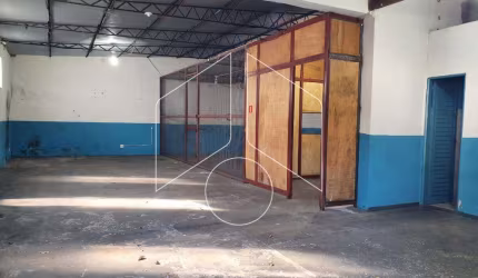 Comercial GalpãoBarracão em Marília