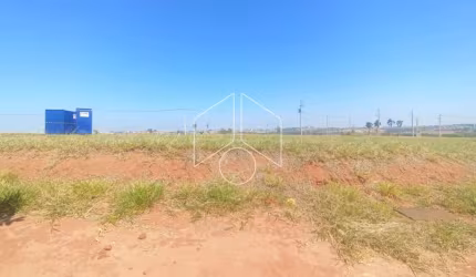 Terreno / Dentro de Condomínio - Venda - Residencial | Jardins do Ipê