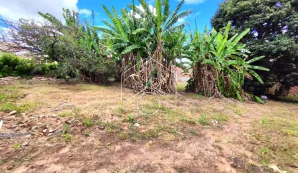 Lote - Jardim Marília