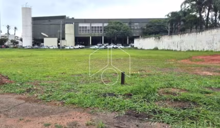 Terreno Área em Marília