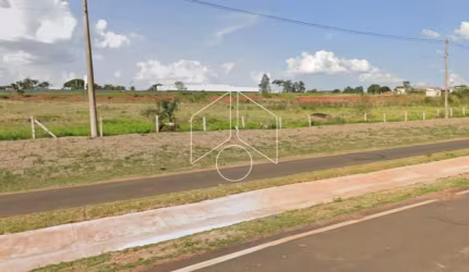 Terreno Área em Marília
