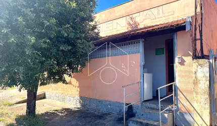 Comercial GalpãoBarracão em Marília