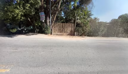 Mini sítio em Pacheco terreno comercial várias frutíferas produzindo, ônibus na porta