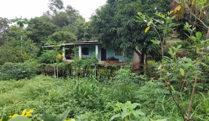 Lindo sítio em Cabuçu