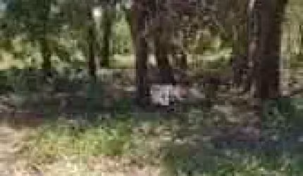 À venda terreno em Jardim Praia dos Sonhos - Iacanga/SP