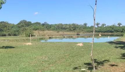 lindo sitio a venda no pasccoal ramos cuiabá