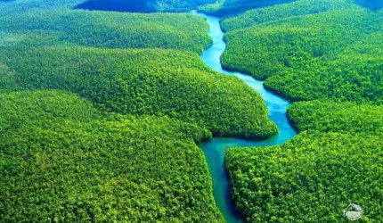 ÁREA LINDÍSSIMA DE 69.140 HECTARES NA AMAZÔNIA OCIDENTAL