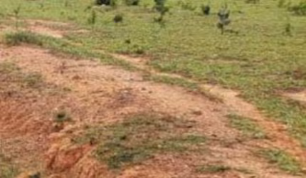 FAZENDA EXCELENTE EM REGIÃO SUPER VALORIZADA - IMPERDÍVEL!