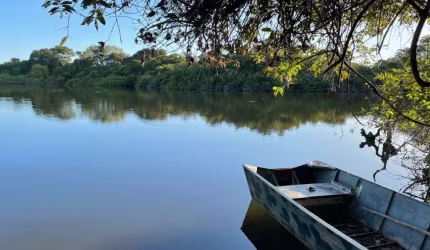 FAZENDA IMPERDÍVEL À VENDA EM FORMOSO DO ARAGUAIA/ TO-