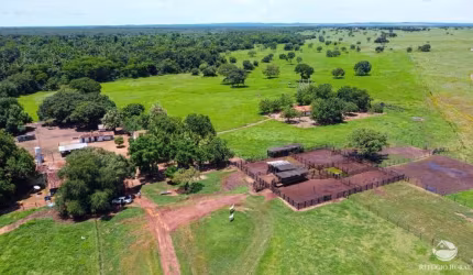 FAZENDA IMPERDÍVEL EM FORMOSO DO ARAGUAIA/TO