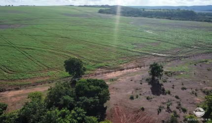 FAZENDA IMPERDÍVEL EM PEDRO GOMES/MS