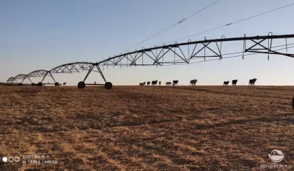 FAZENDA IMPERDÍVEL COM ÓTIMA ESTRUTURA EM CAMPO ALEGRE/GO
