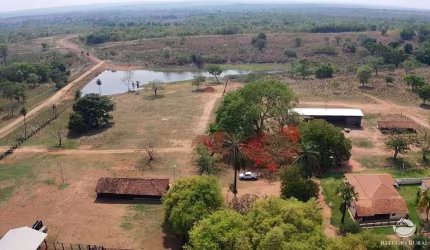 FAZENDA IMPERDÍVEL EM DUERÉ/TO