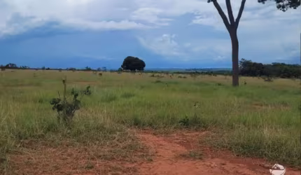 FAZENDA DUPLA APTIDÃO  EM COXIM/MS