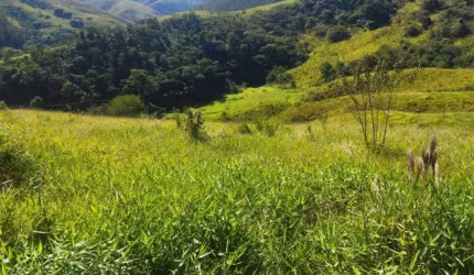 TERRENO EM SÃO FRANCISCO XAVIER COM NASCENTE E  LINDA VISTA