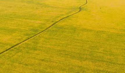 MEGA FAZENDA EM SANTA ROSA/TO - OPORTUNIDADE ÚNICA NO AGRONEGÓCIO!