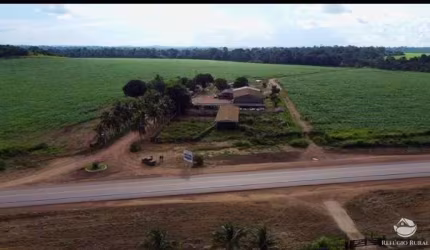 FAZENDA EM NOVO PROGRESSO/PA - ÓTIMA OPORTUNIDADE DE NEGÓCIO