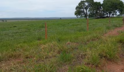 FAZENDA EM FIGUEIRÃO/MS - ÓTIMO NEGÓCIO!