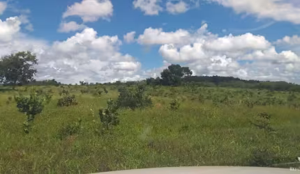 FAZENDA DE 4.400 HECTARES EM CAMAPUÃ/MS