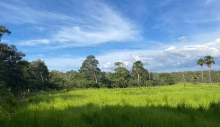 FAZENDA DE 5.600 HECTARES AS MARGENS DO RIO PARNAÍBA EM TASSO FRAGOSO/MA
