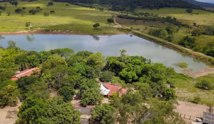 Excelente Fazenda dupla aptidão à venda  no Município de Padre Bernardo/GO