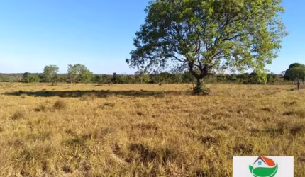 FAZENDA Á VENDA ÁREA RURAL DE JUARINA/TO