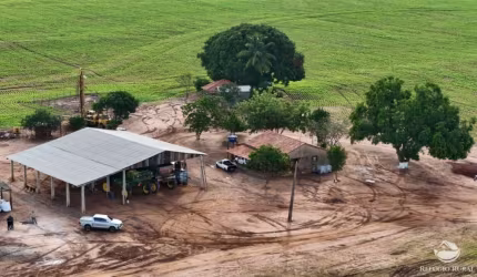 FAZENDA COM EXCELENTE LOGÍSTICA E RIO PERENE EM ESTREITO-MA