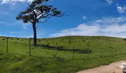 FAZENDA EM IGARATÁ/SP  -  COM LAGO, NASCENTES E MATA PRESERVADA.