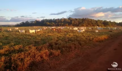FAZENDA IMPERDÍVEL À VENDA (PORTEIRA FECHADA) ÓTIMA OPORTUNIDADE DE NEGÓCIO!