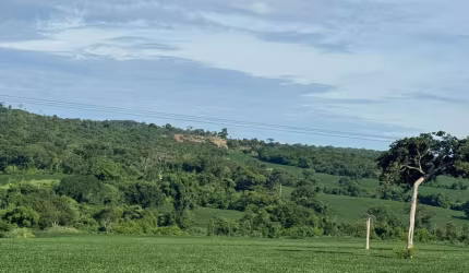 BELA FAZENDA EM SÃO LUIS DE MONTES BELOS/GO