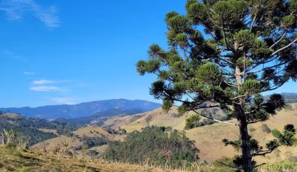 TERRENOS IDEAIS PARA POUSADA OU CHALÉS EM SANTO ANTÔNIO DO PINHAL/SP