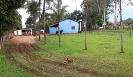 CHÁCARA COM CASA E REPRESA EM UBERLÂNDIA/MG
