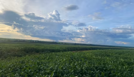 FAZENDA EM GAÚCHA DO NORTE/ MT - GRANDE OPORTUNIDADE DE NEGÓCIO.