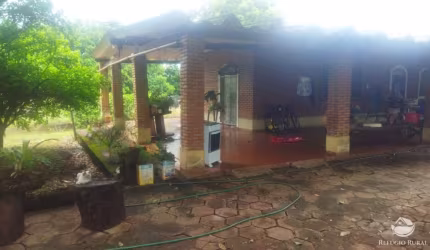 SÍTIO BEM LOCALIZADO COM MATA NATIVA E TERRA AGRICULTÁVEL EM FRUTAL -  MG