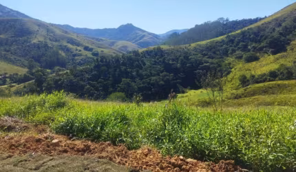 TERRENO EM SÃO FRANCISCO XAVIER COM LINDA VISTA E MATA NATIVA