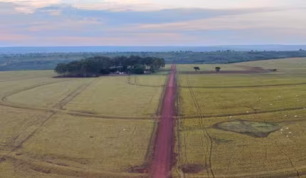 FAZENDA COM ÁREA ESTRUTURADA EM NOVA XAVANTINA/MT