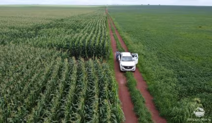 FAZENDA COM BOA ESTRUTURA AS MARGENS DO RIO TOCANTINS.