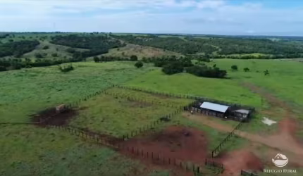 FAZENDA INCRÍVEL EM GURUPI/TO
