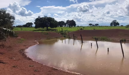 FAZENDA ESTRUTURADA PARA PECUÁRIA– LAGOA DA CONFUSÃO/ TO - NO VALE DO ARAGUAIA -