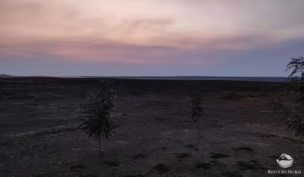 FAZENDA DE 2.150 HECTARES EM CAROLINA - MA COM CASA, ALMOXARIFADO E GALPÃO DE MÁQUINAS.