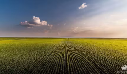 FAZENDA BOA ESTRUTURA NA REGIÃO NORTE ARAGUAIA/MT