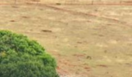 FAZENDA PARA LAVOURA EM GUIRATINGA/MT - PREÇO IMPERDÍVEL!