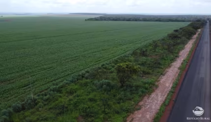 LINDA FAZENDA À VENDA NO TOCANTINS