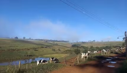 FAZENDA DE LATICÍNIOS E SUINICULTURA EM SÃO LOURENÇO - MG