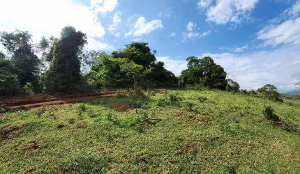 TERRENO COM MATA NATIVA EM SAPUCAÍ MIRIM MG
