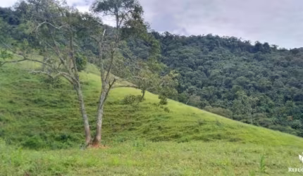 TERRENO  EM SÃO FRANCISCO XAVIER COM MATA PRESERVADA E LINDA VISTA