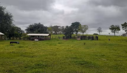 BELÍSSIMA FAZENDA  EM CAMAPUÃ/MS