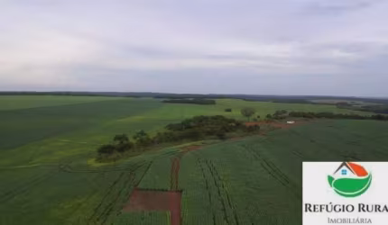 FAZENDA IMPERDÍVEL EM DARCINÓPOLIS/TO