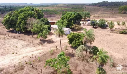 FAZENDA NA REGIÃO DE ARAGUAÍNA -TO - PRÓXIMO AO RIO TOCANTINS