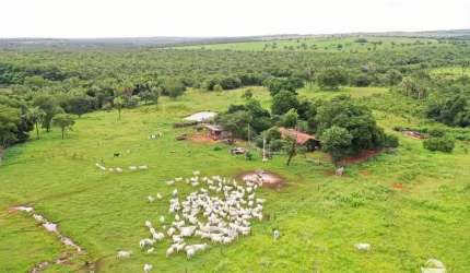 FAZENDA EXCELENTE EM TESOURO/MT